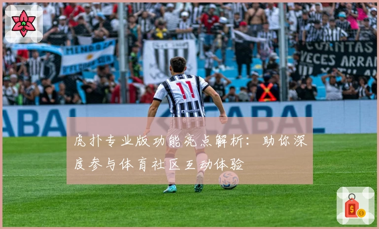 虎扑专业版功能亮点解析：助你深度参与体育社区互动体验