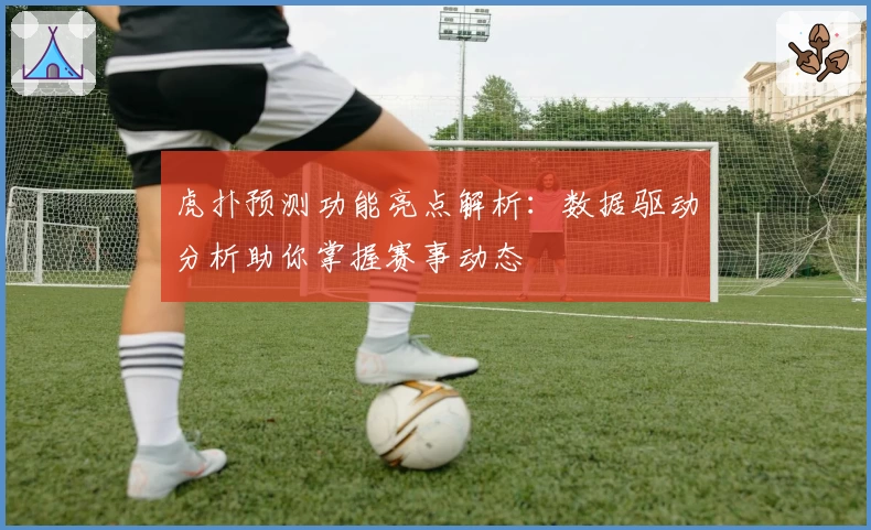 虎扑预测功能亮点解析：数据驱动分析助你掌握赛事动态